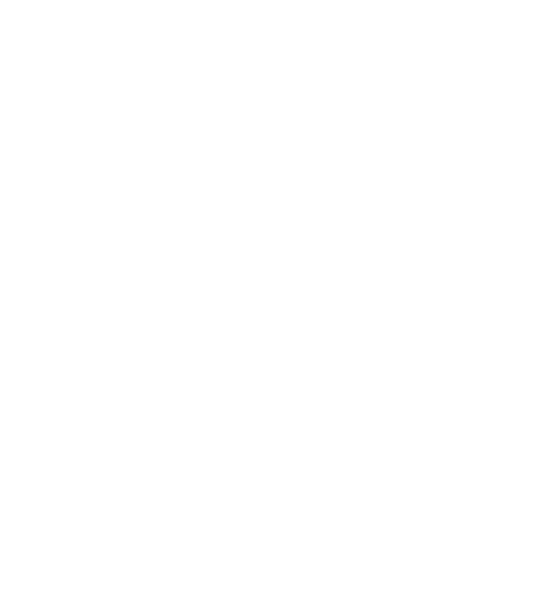 Icarnation — Groupe Fribourg — World Gymnaestrada 2027